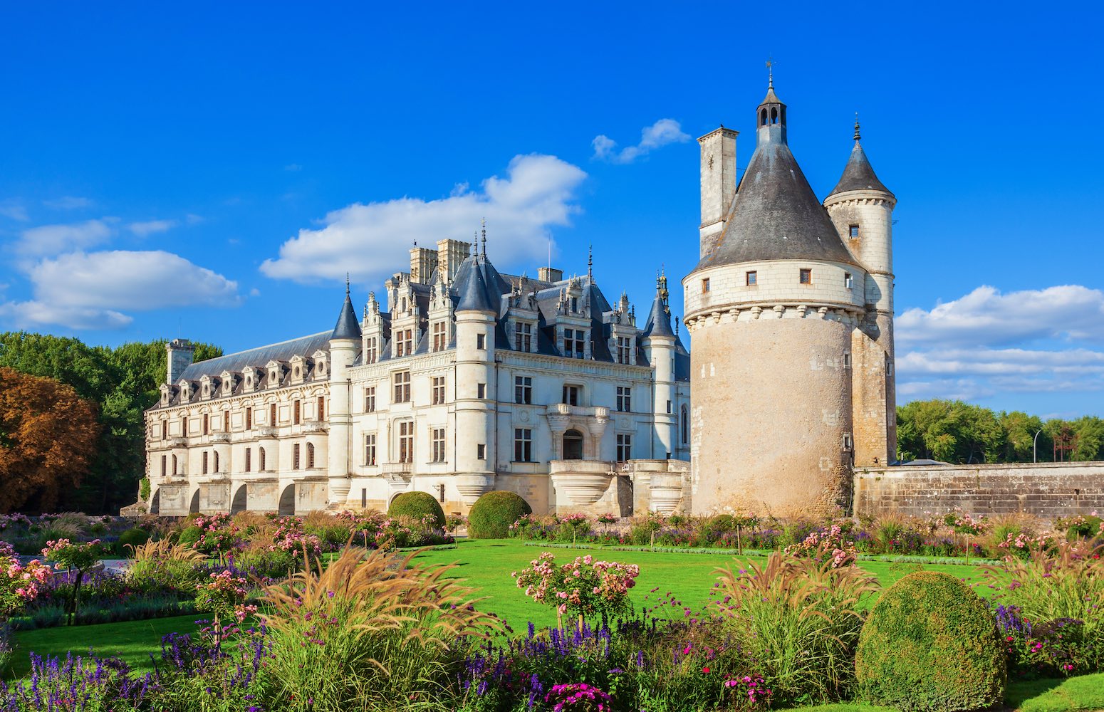 Castillo Francia